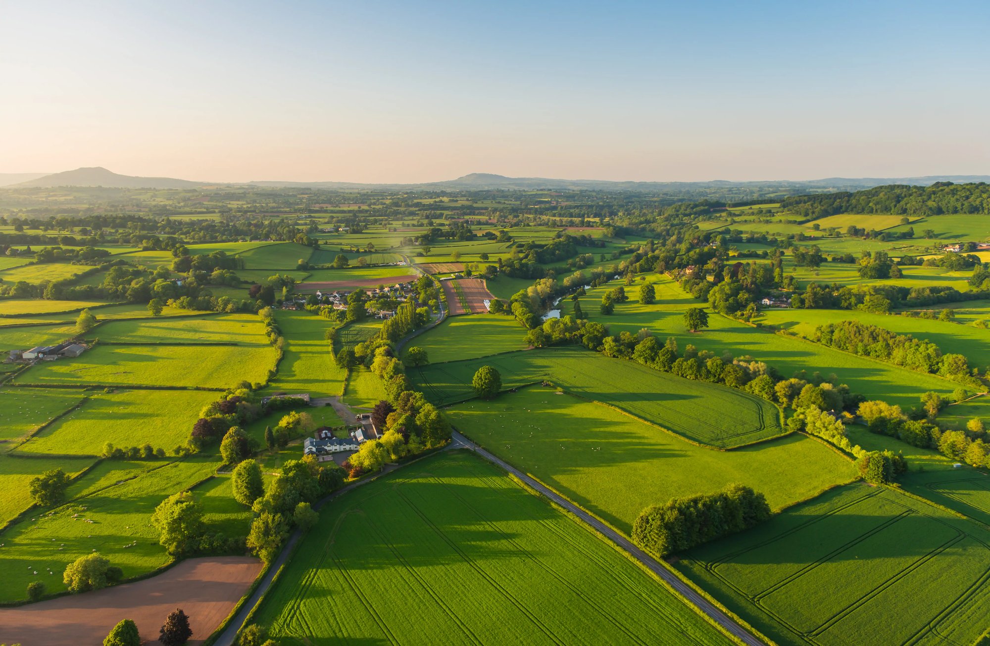 un paysage vert avec des arbres et des routes