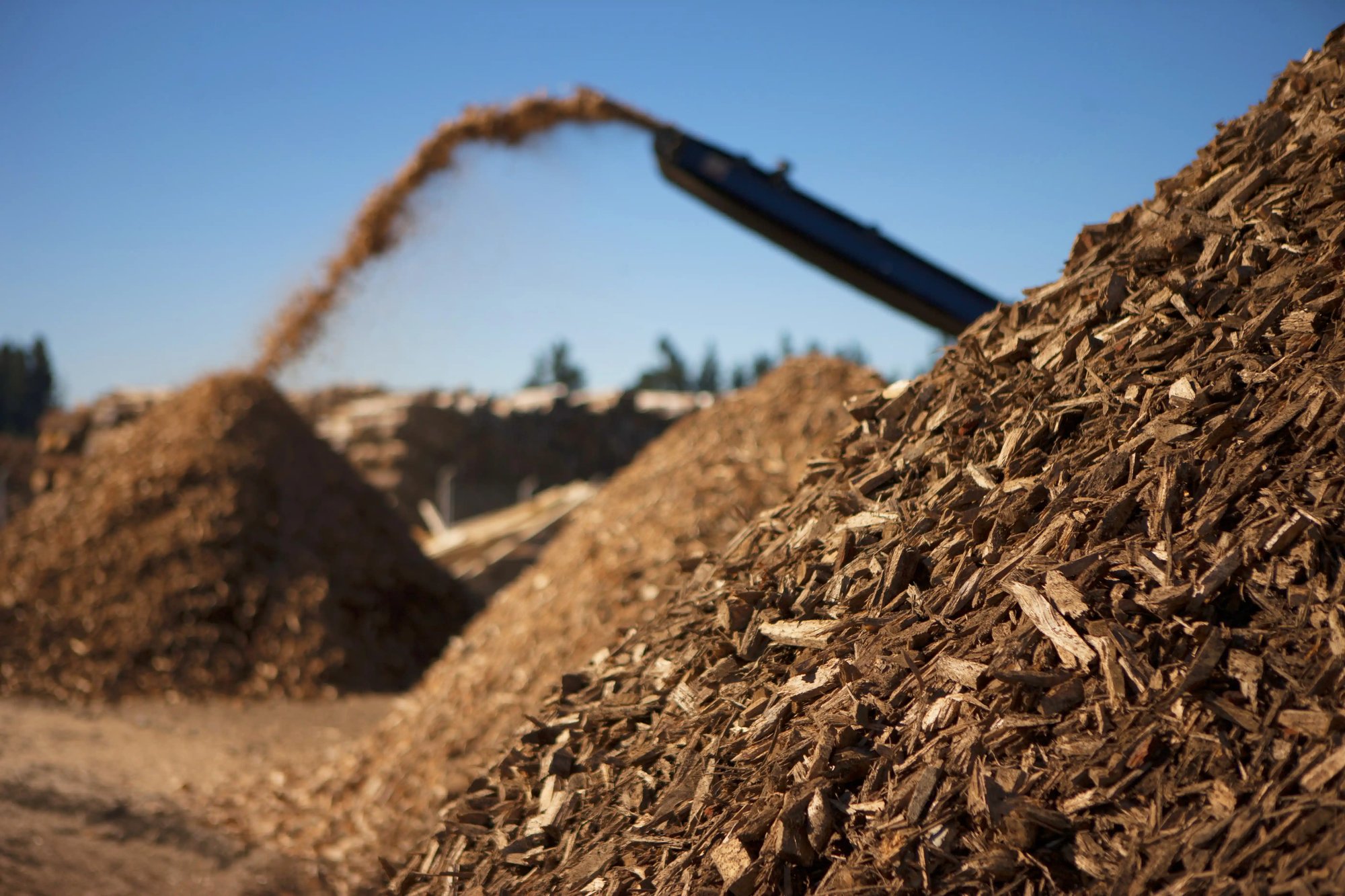 several piles of wood shavings 